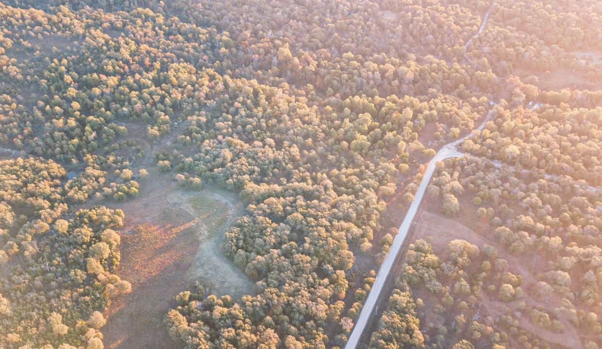 DJI_0118