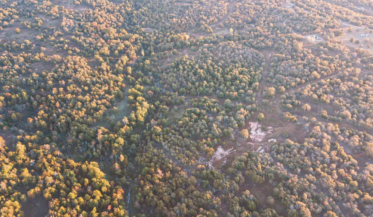 DJI_0126