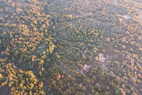 DJI_0126