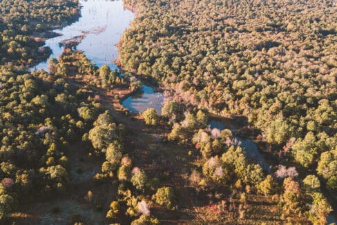 DJI_0141
