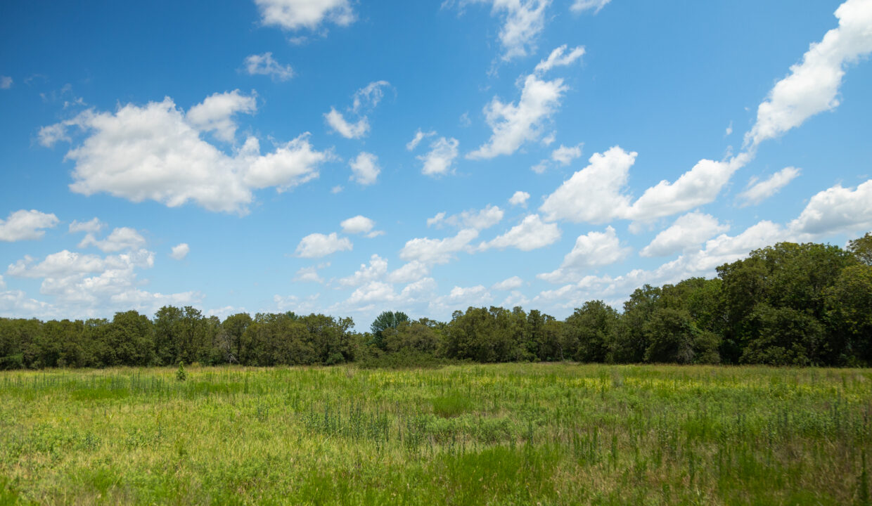 Garvin1200_Land-for-sale-southern-oklahoma-56