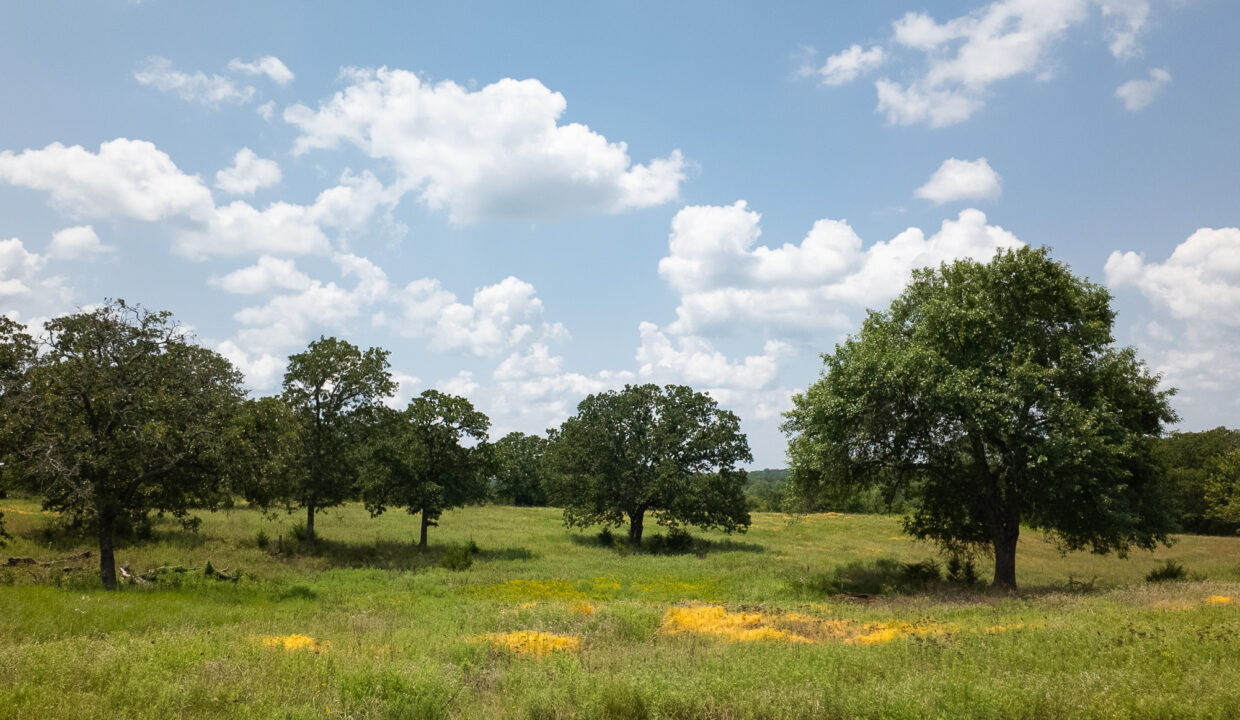 Land for sale in Macomb, OK